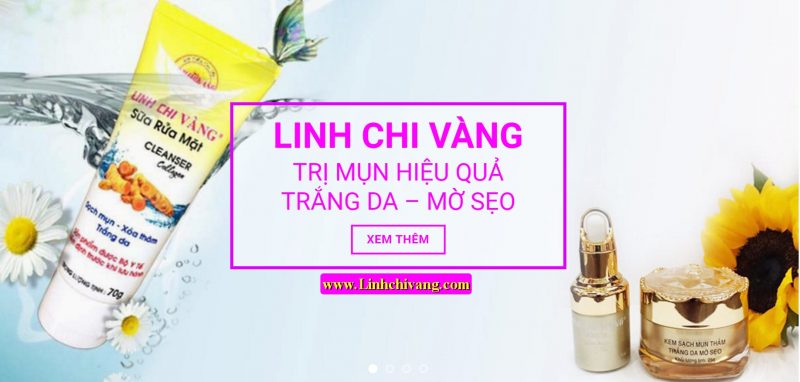 my pham linh chi vang