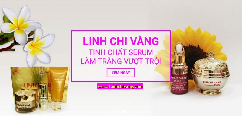 my pham linh chi vang