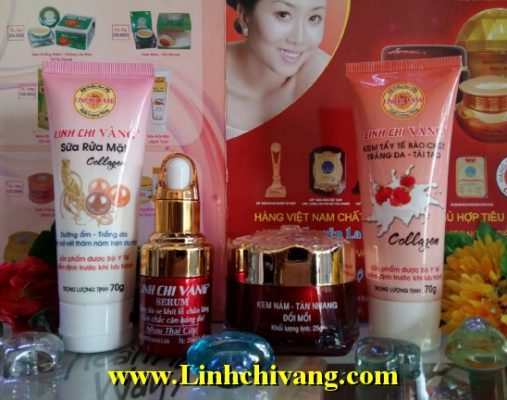 kem nam my pham linh chi vang